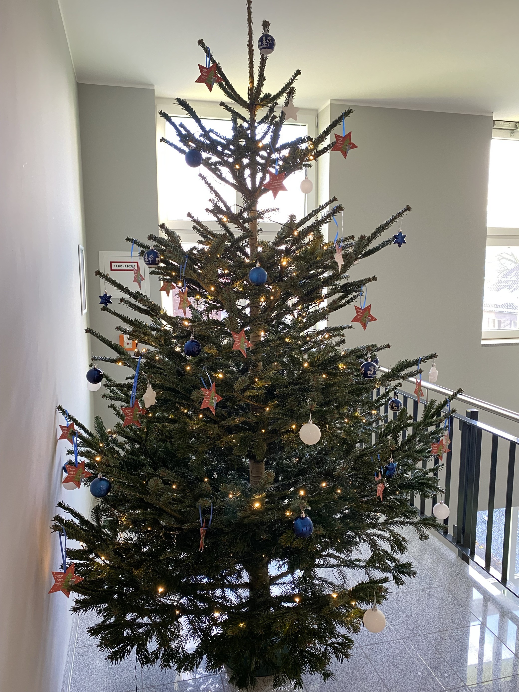 Wunschbaum ganz